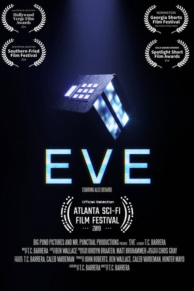 Póster de Eve - A Moment Passed