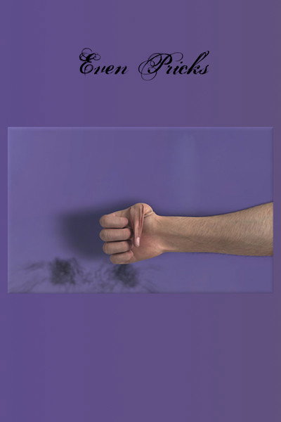 Póster de Even Pricks