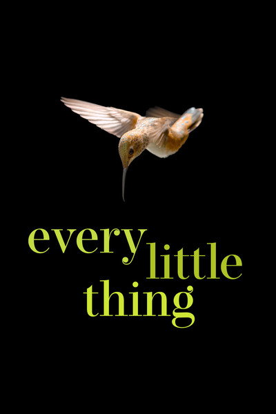 Póster de Every Little Thing