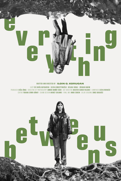 Póster de Everything Between Us