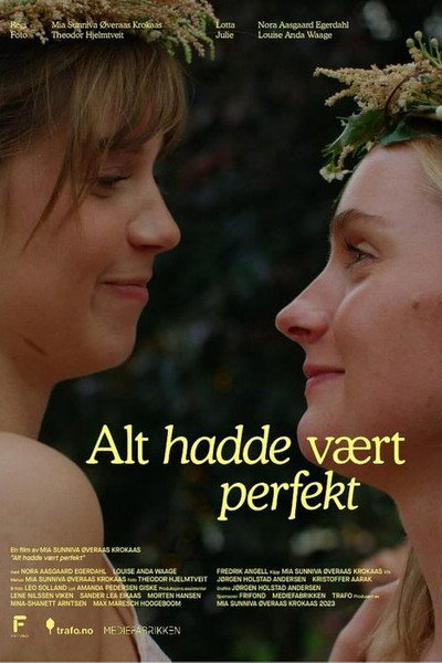 Póster de Everything had been perfect