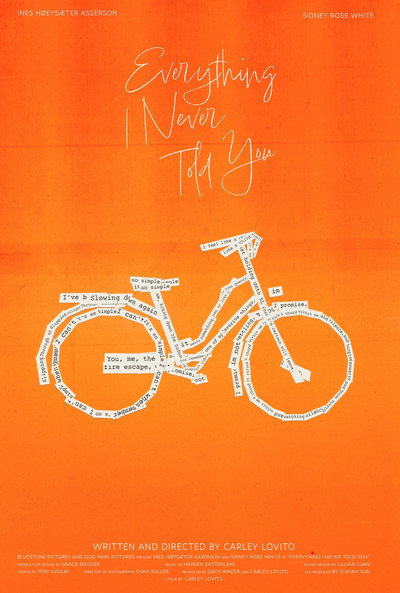 Póster de Everything I Never Told You