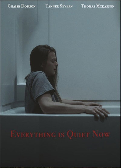 Póster de Everything is Quiet Now