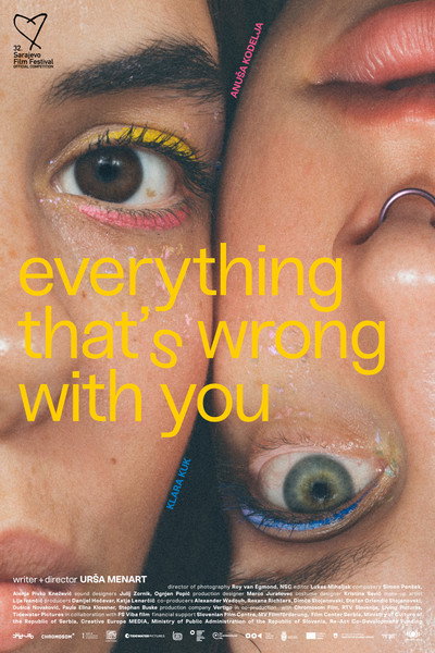 Póster de Everything That's Wrong with You