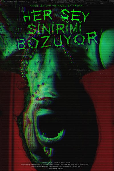 Póster de Everything Unnerves Me