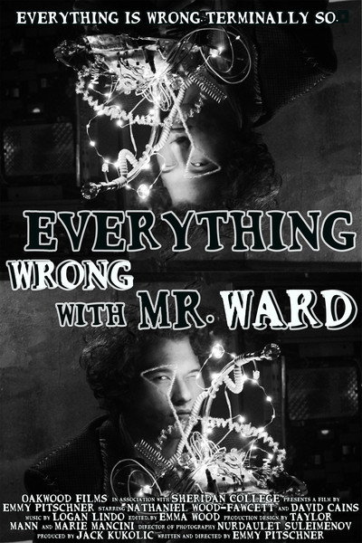 Póster de Everything Wrong with Mr. Ward