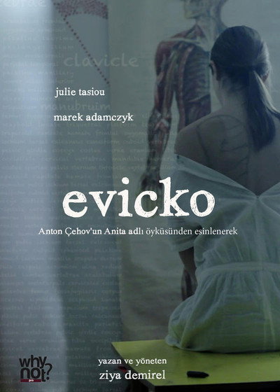 Póster de Evicko