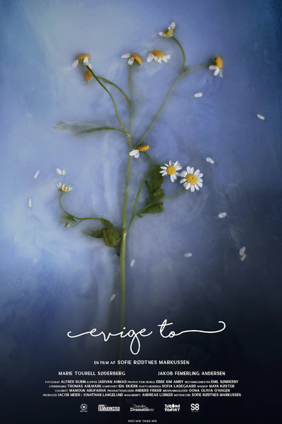 Póster de Evige to