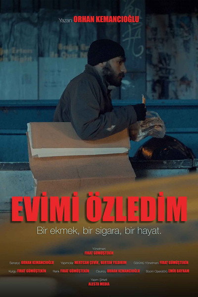 Póster de Evimi Özledim