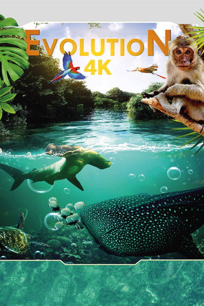 Póster de Evolution