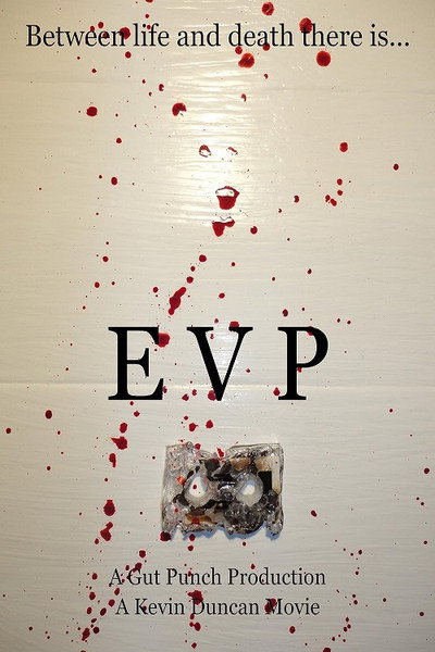 Póster de E.V.P.