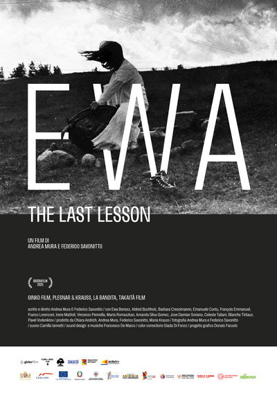 Póster de Ewa: The Last Lesson