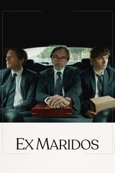 Póster de Ex-Husbands