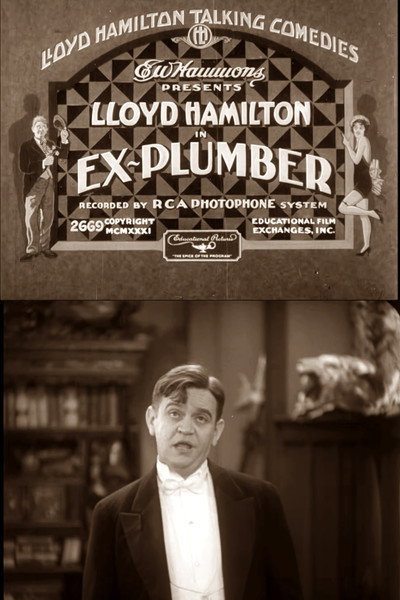 Póster de Ex-Plumber