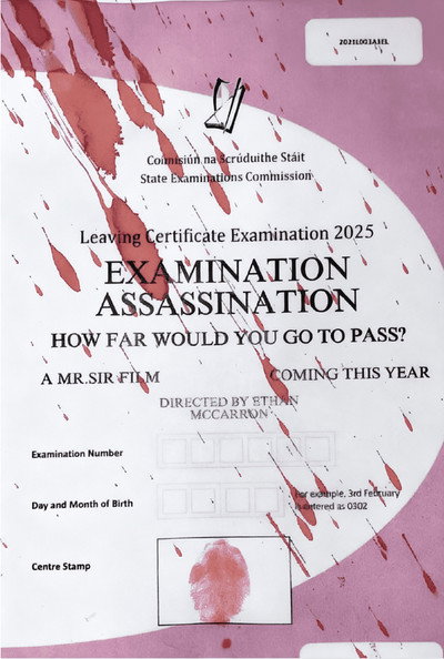 Póster de Examination Assassination