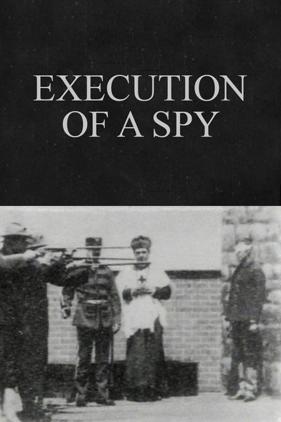 Póster de Execution of a Spy