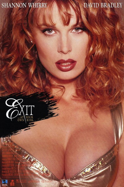 Póster de Exit