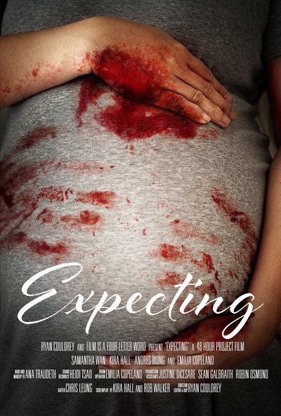 Póster de Expecting