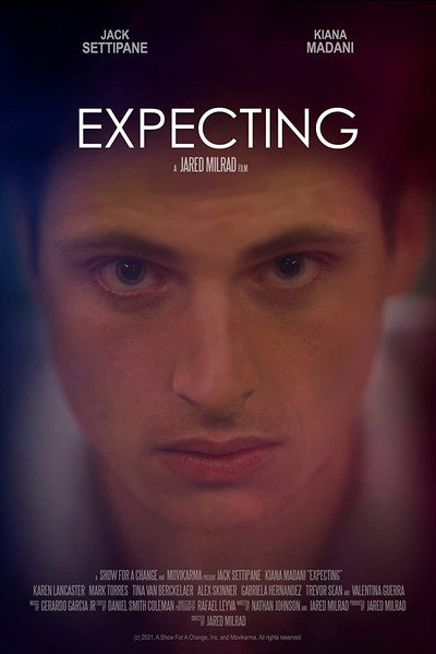 Póster de Expecting