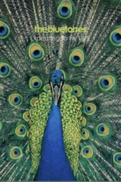 Póster de Expecting to Fly Live