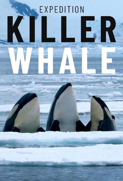 Póster de Expedition Killer Whale
