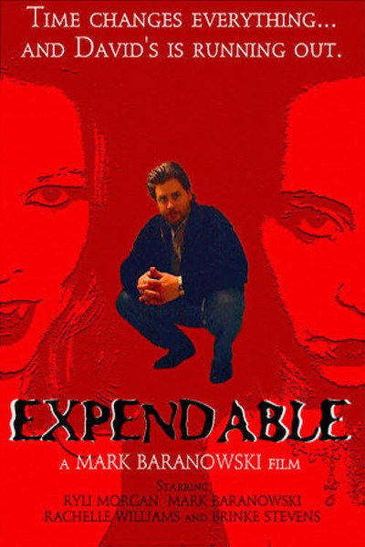 Póster de Expendable