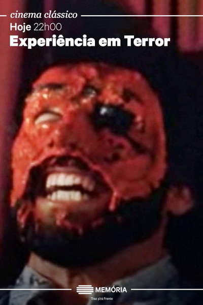 Póster de Experiência em Terror