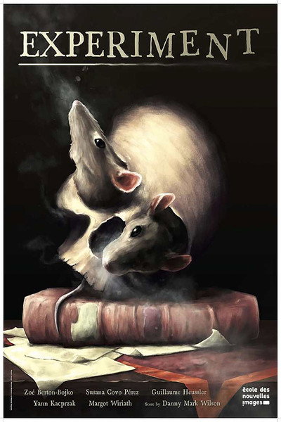 Póster de Experiment