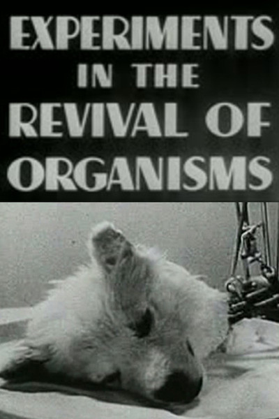 Póster de Experiments in the Revival of Organisms