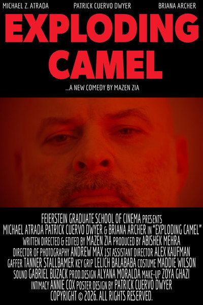 Póster de Exploding Camel