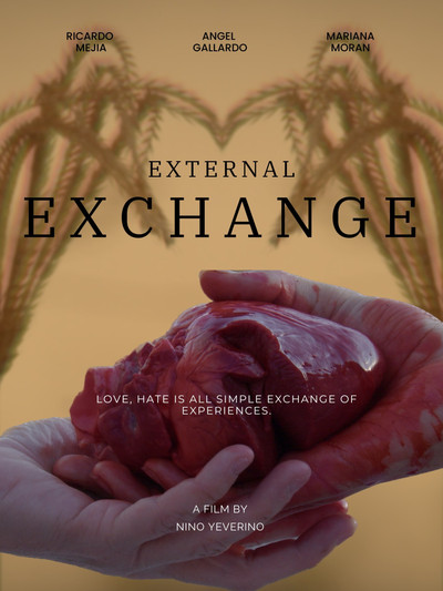 Póster de External Exchange