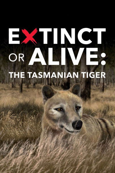 Póster de Extinct or Alive: Tasmanian Tiger
