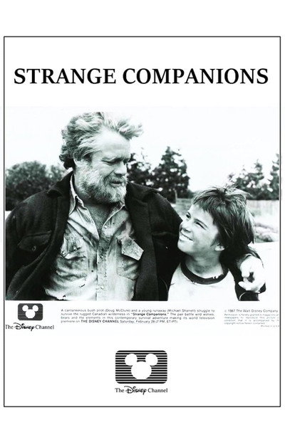 Póster de Extraños compañeros