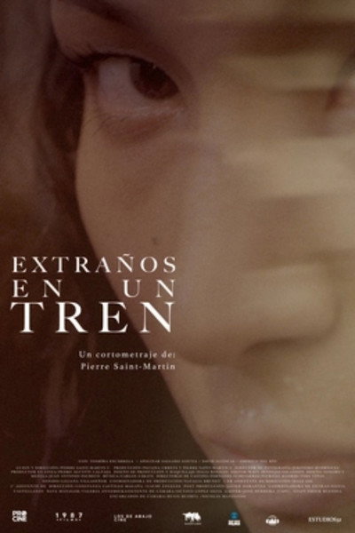 Póster de Extraños en un tren