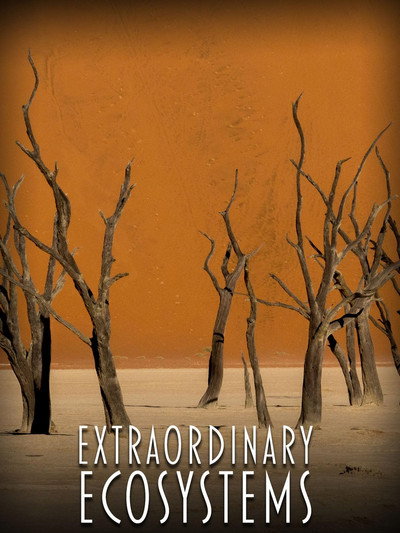 Póster de Extraordinary Ecosystems