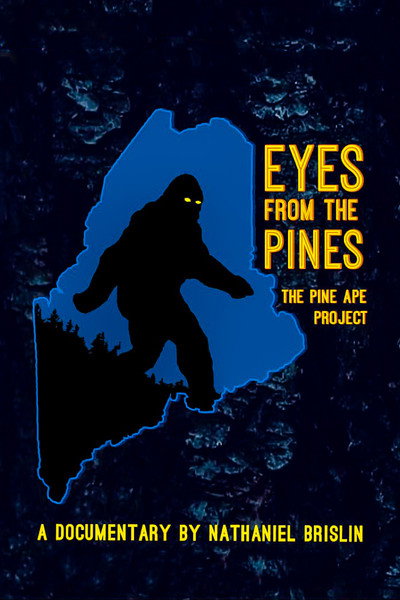 Póster de Eyes from the Pines
