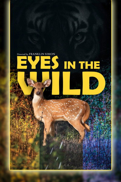 Póster de Eyes in the wild