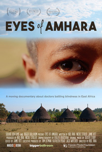 Póster de Eyes of Amhara