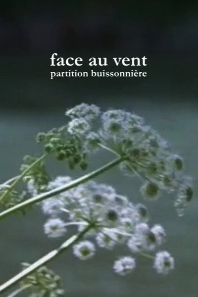 Póster de Face au vent, partition buissonnière
