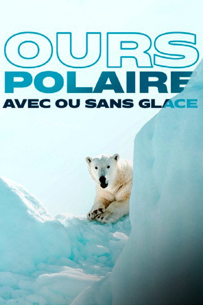 Póster de Face to Face with the Polar