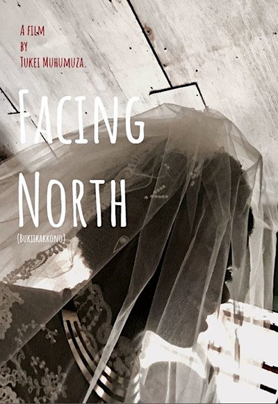 Póster de Facing North