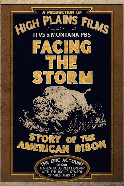 Póster de Facing the Storm: Story of the American Bison