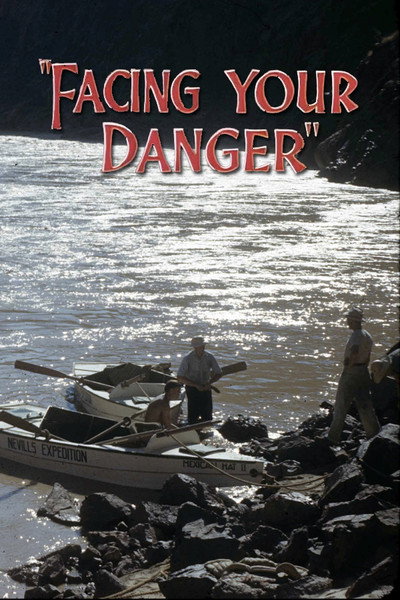 Póster de Facing Your Danger