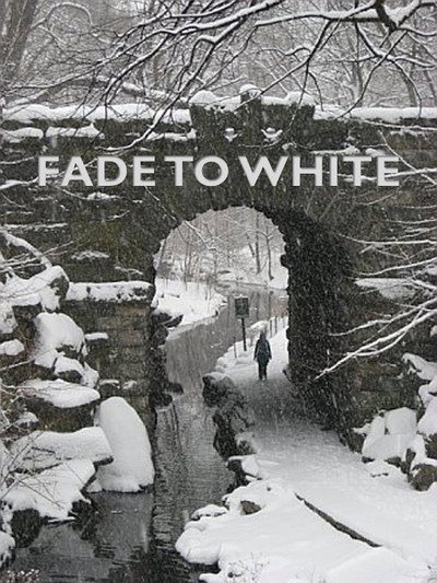 Póster de Fade to White