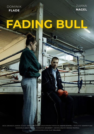 Póster de Fading Bull