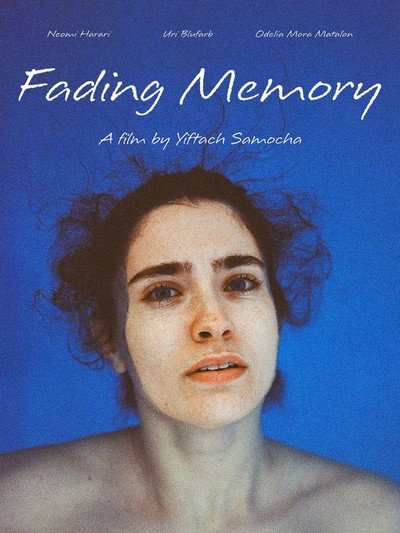 Póster de Fading Memory