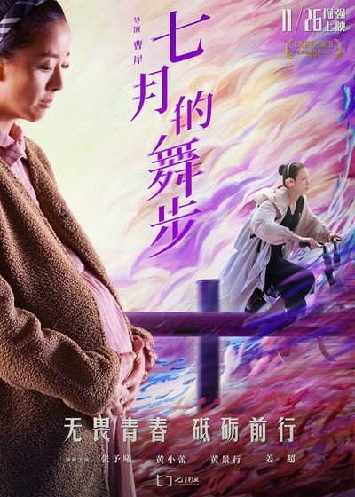 Póster de Fairy Dance