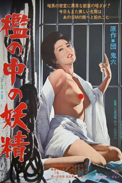 Póster de Fairy in a Cage