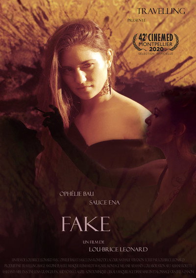 Póster de Fake