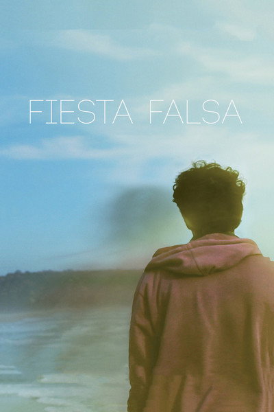Póster de Fake Party